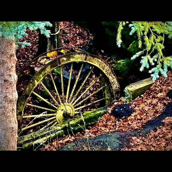 Meet your Posher, Penny - Picture 8 of 8